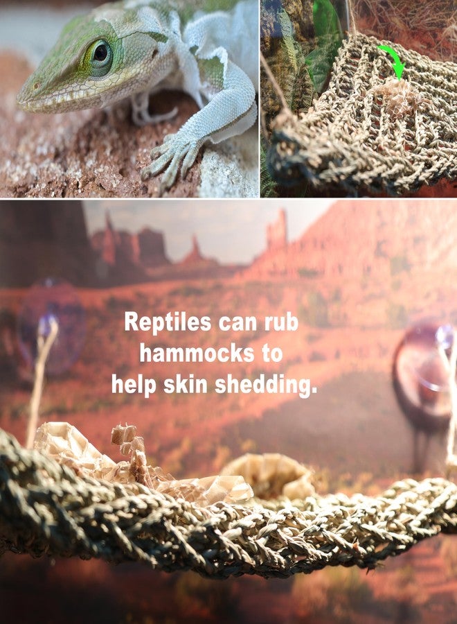 ExoRepti Bearded Dragon Hammock Lizard Tank Accessories Reptile Lounger Amphibian Habitat Décor for Chameleon, Geckos, Snakes, Hermit Crab, Lguana Reptiles, Tortoises - Image 4